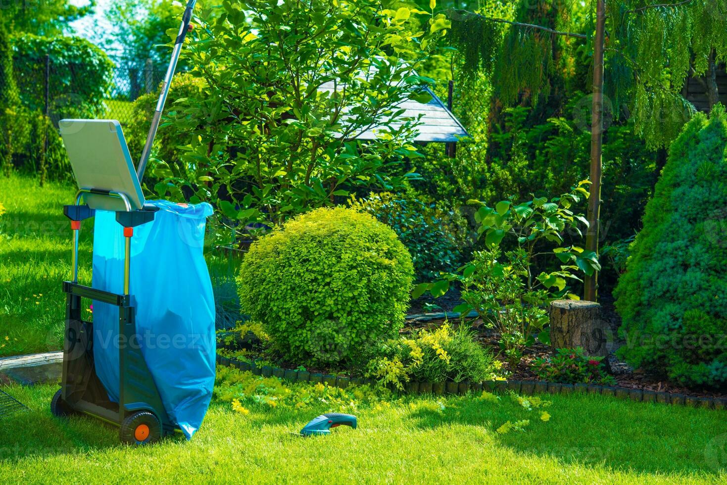 Garden & Outdoor